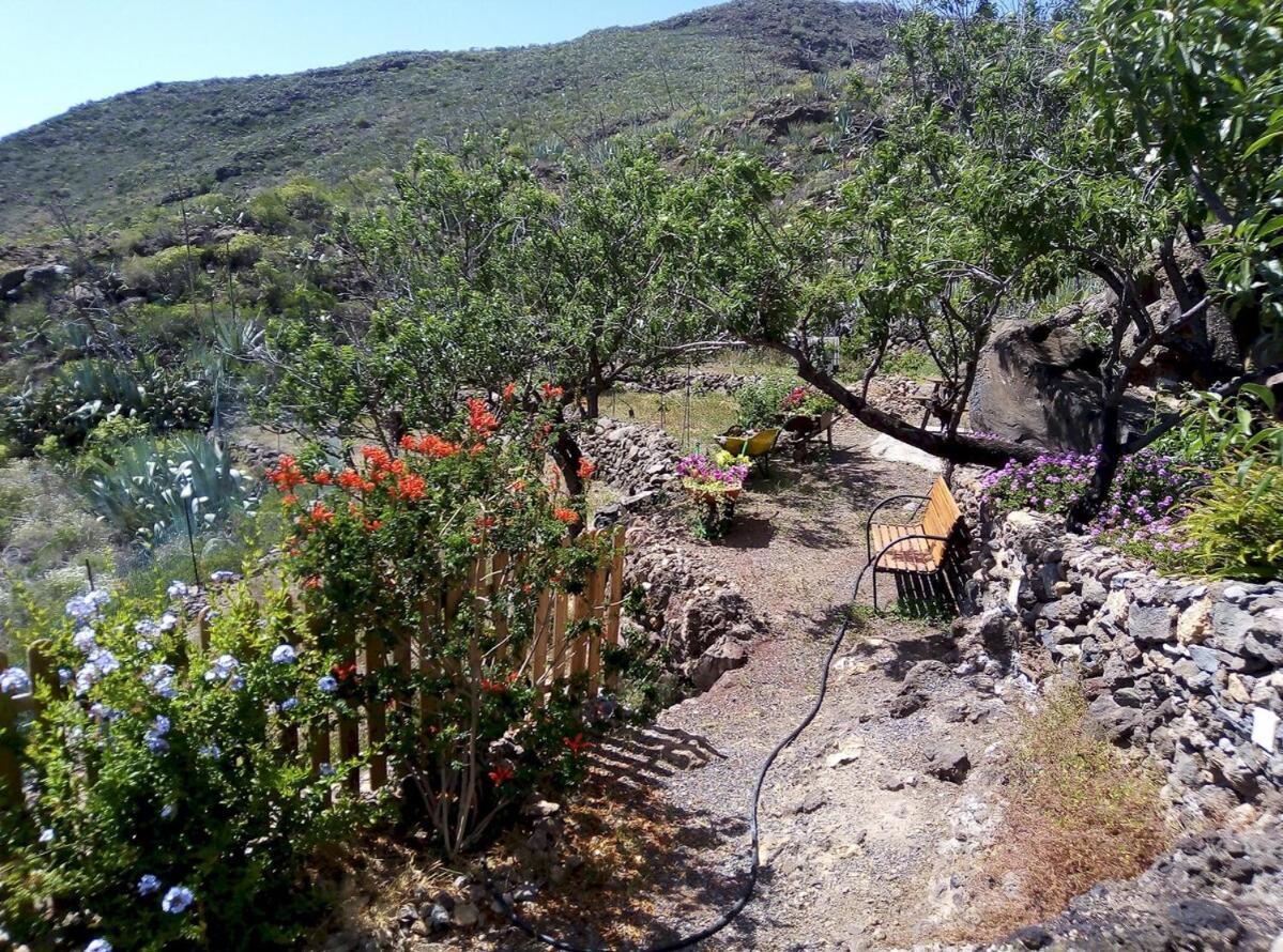 Casa La Fuente Villa Arona  Eksteriør billede