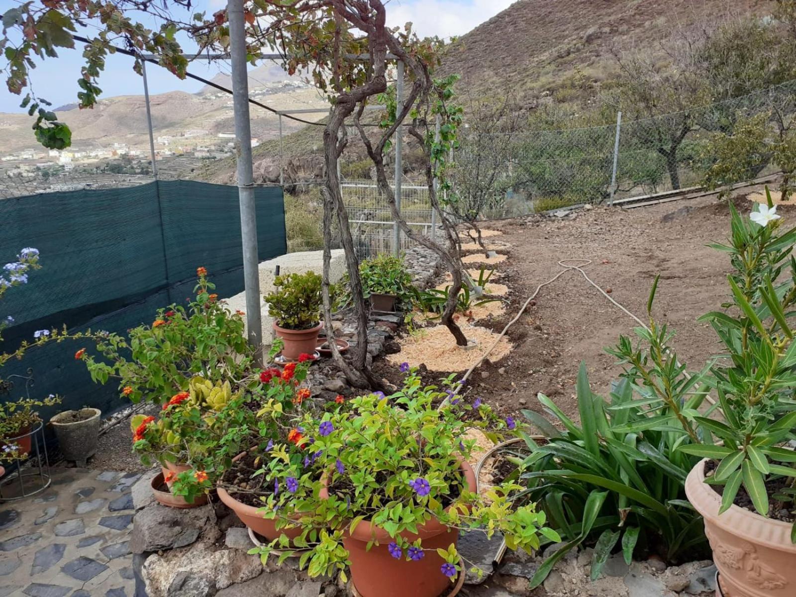 Casa La Fuente Villa Arona  Eksteriør billede
